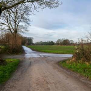 Why I wrote the November Stranger, Tammy Mundy, Author