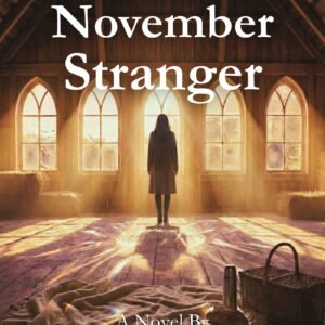 The November Stranger by Tammy Mundy — book cover