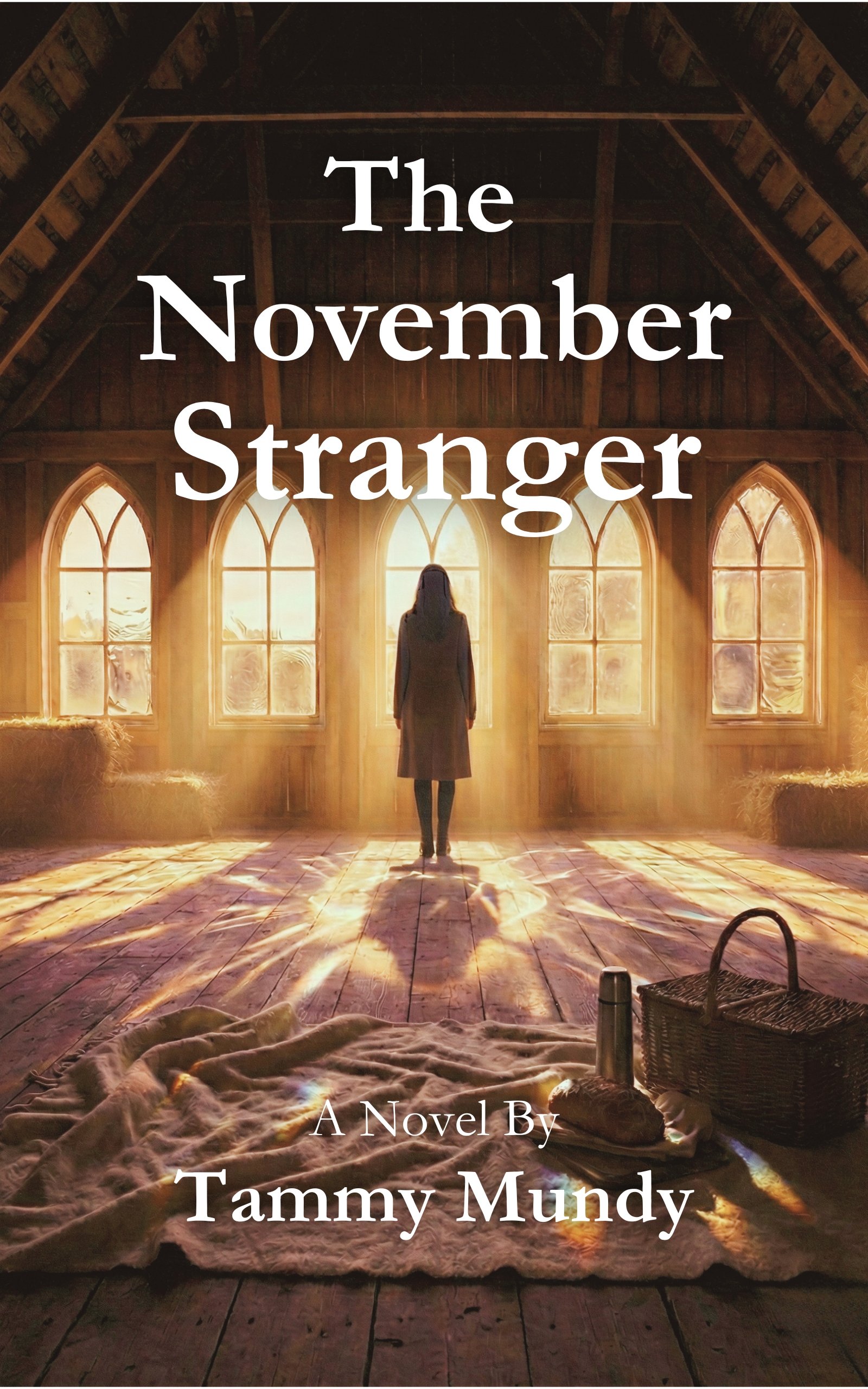 The November Stranger by Tammy Mundy — book cover